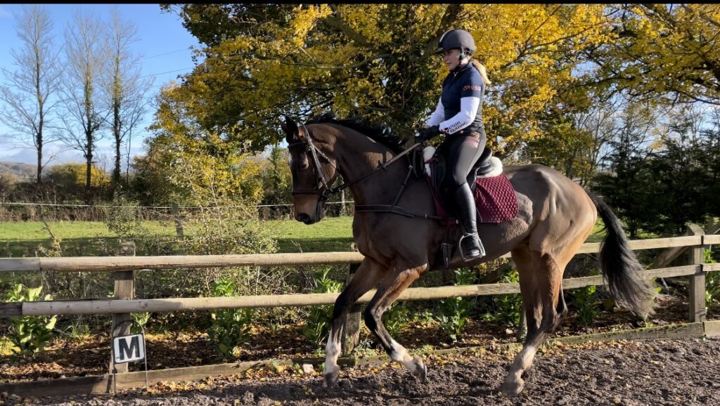 Winter Feed Plan Blog - Tom