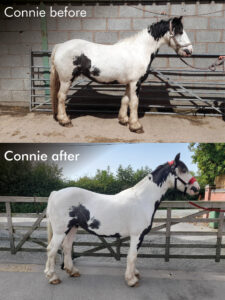 CG intro blog - Connie before and after
