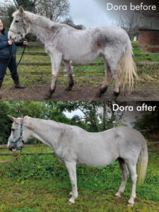 CG intro blog - Dora beofre and after