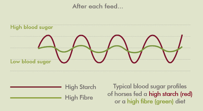 What is the link between feeding and behaviour 4