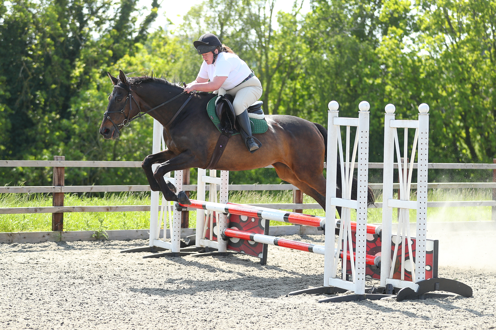 Karen & Coverdale Lady purchased photo