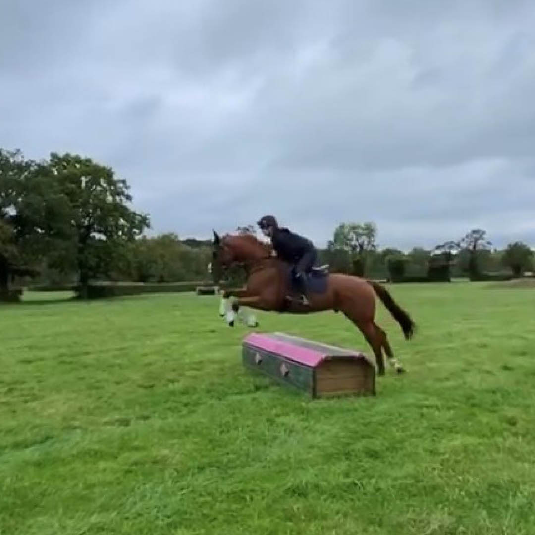 XC training edit